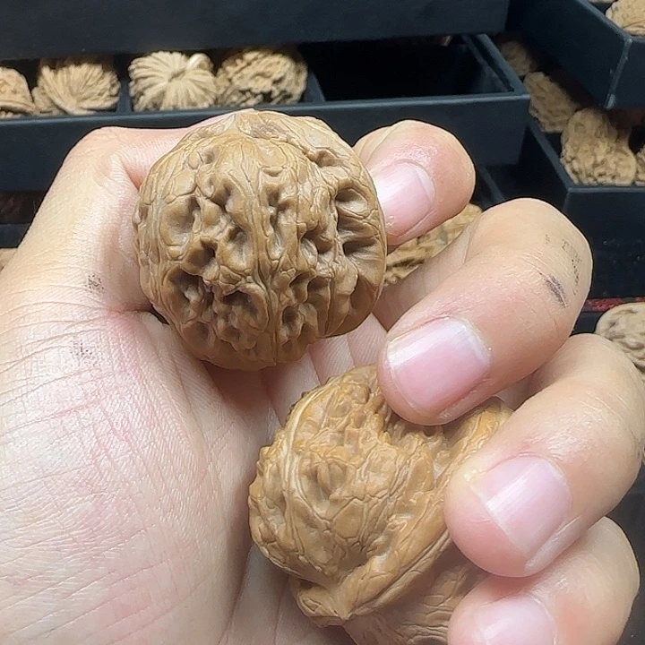 草****吊坠龙脊菩提啊啊啊啊啊啊啊元宝27