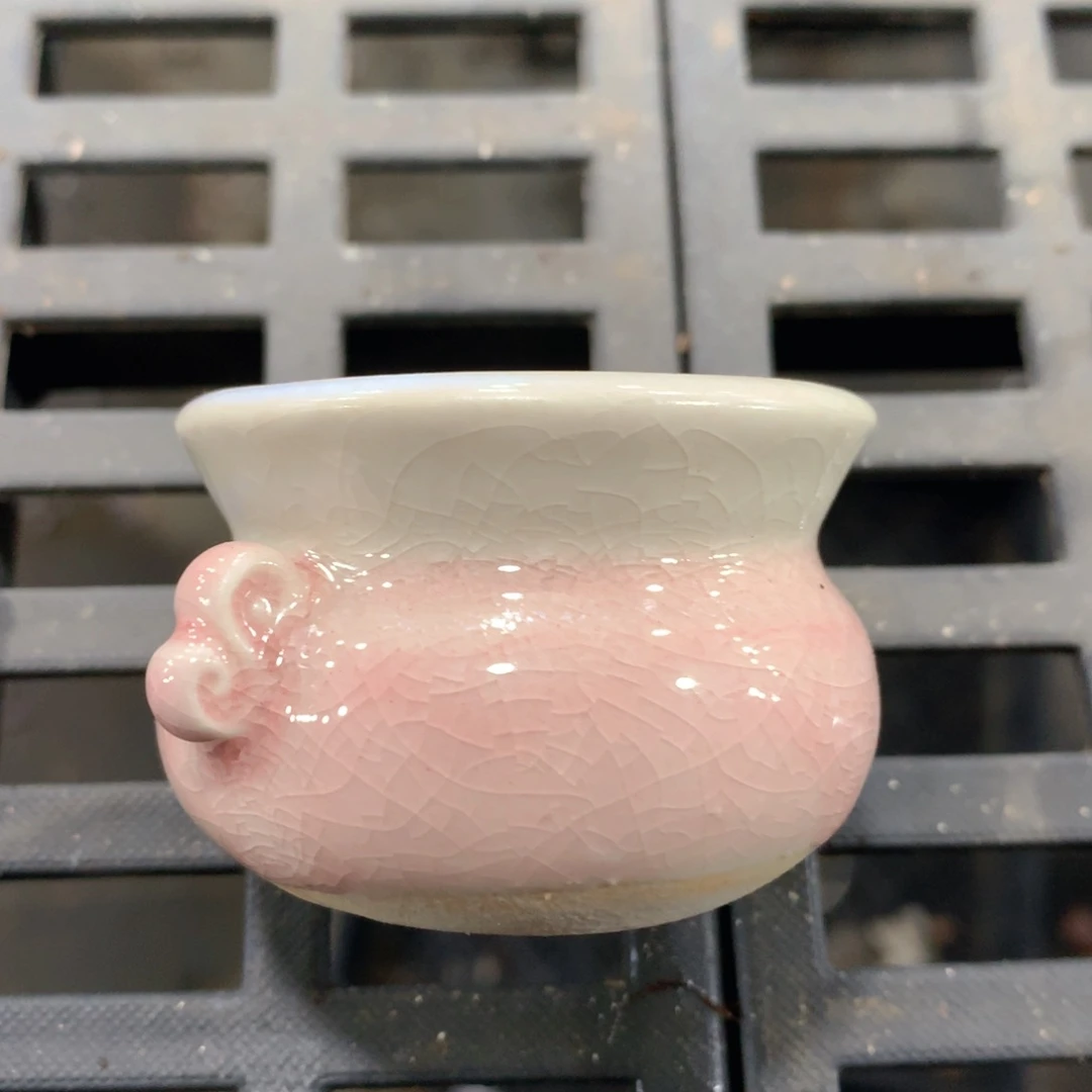 肉萌萌精控多肉 5cm盆量拍 粉盆258款