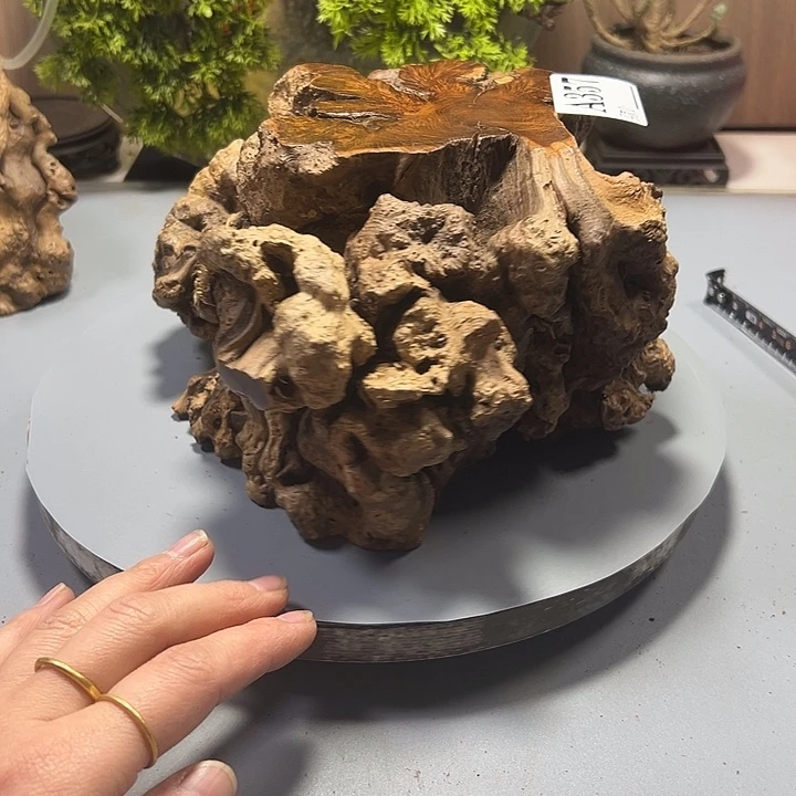 洛***芊大果紫檀（缅甸花梨）