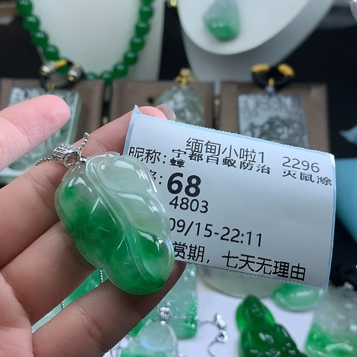 宁***蟑吊坠(赠链)未镶嵌翡翠