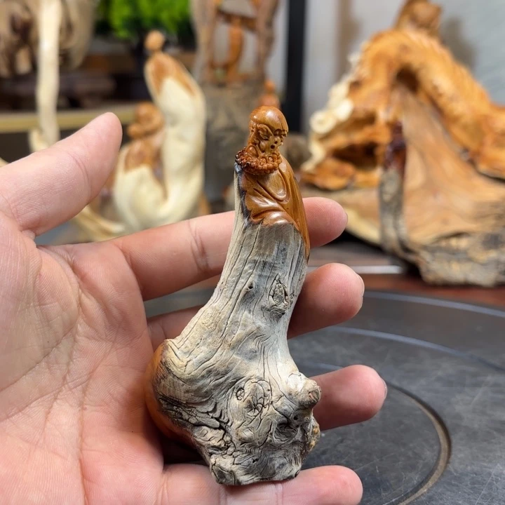 老***活柏木（崖柏）ghhgghhhhhj