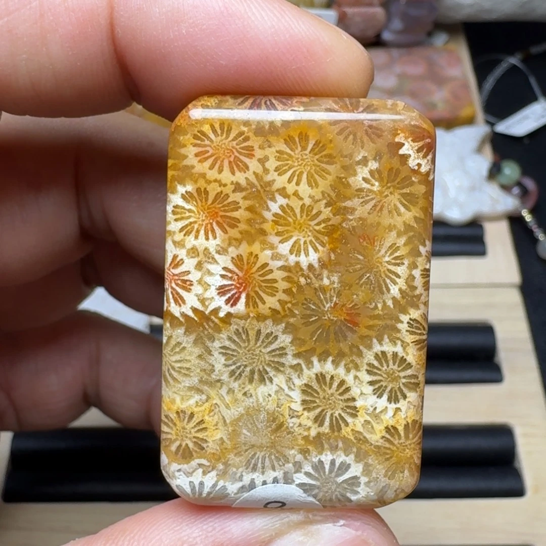 未镶嵌纯天然色有机玉石保真色硅化玉