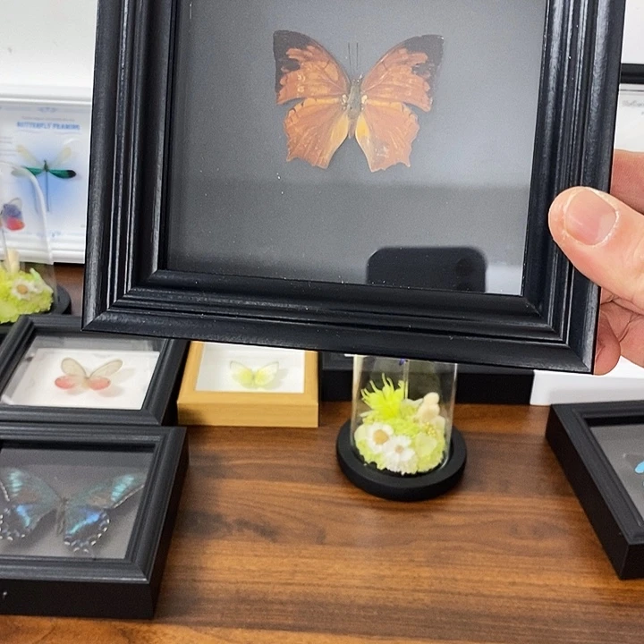 珐琅铁合金小蝴蝶