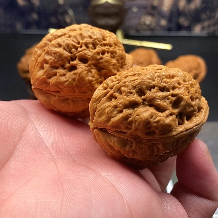 文玩核桃吊坠古树金蟾