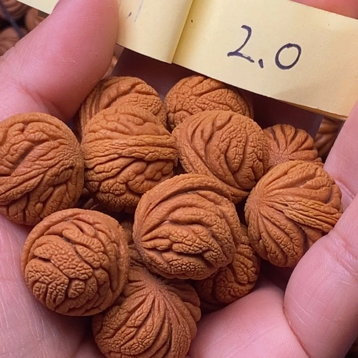 独***月秦岭龙纹桃核13颗