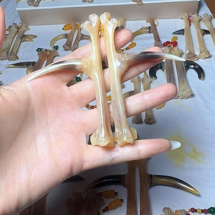 梁***启手串/手链鸡骨（鸡脚）鸡爪骨一对