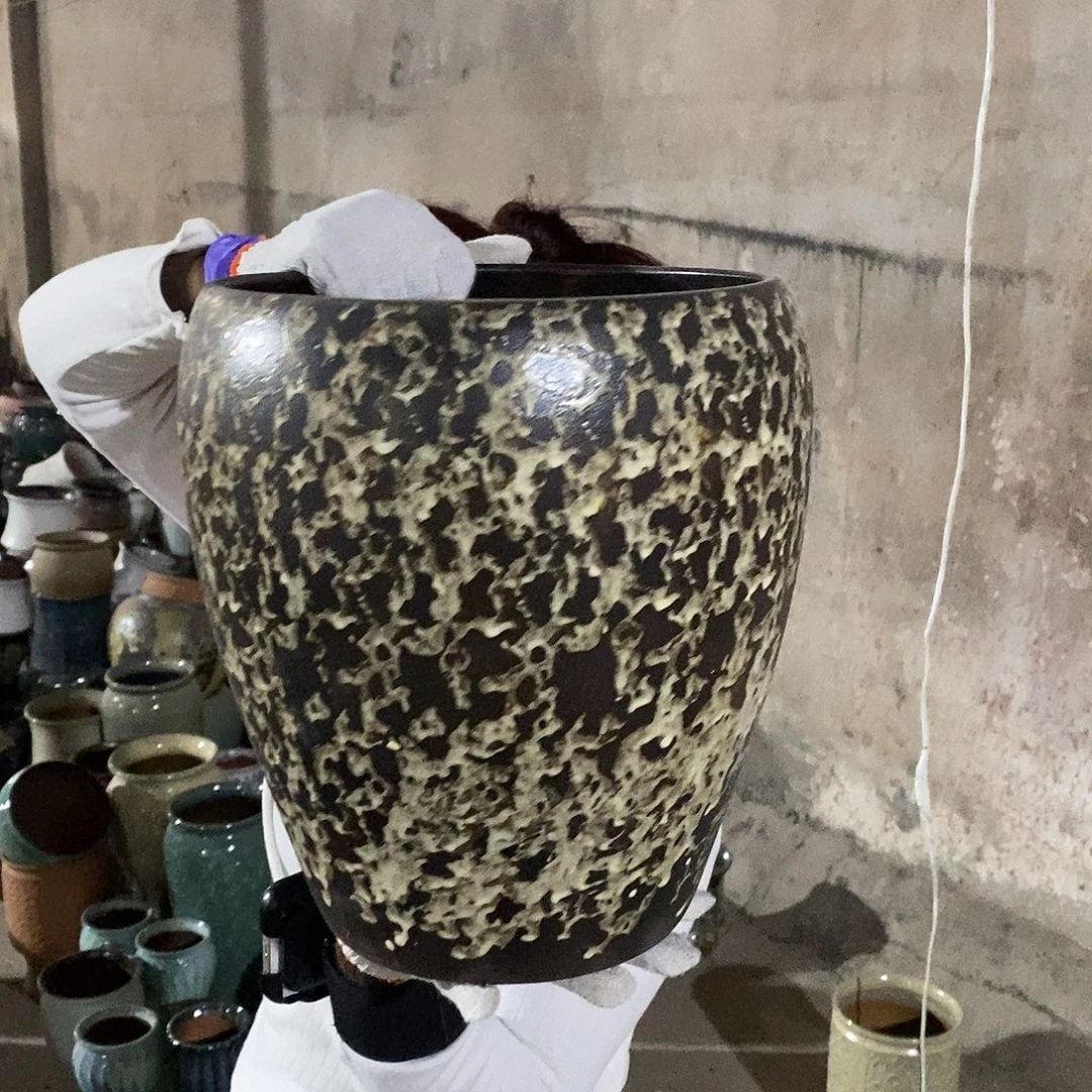 正品25/31）shhzhhz