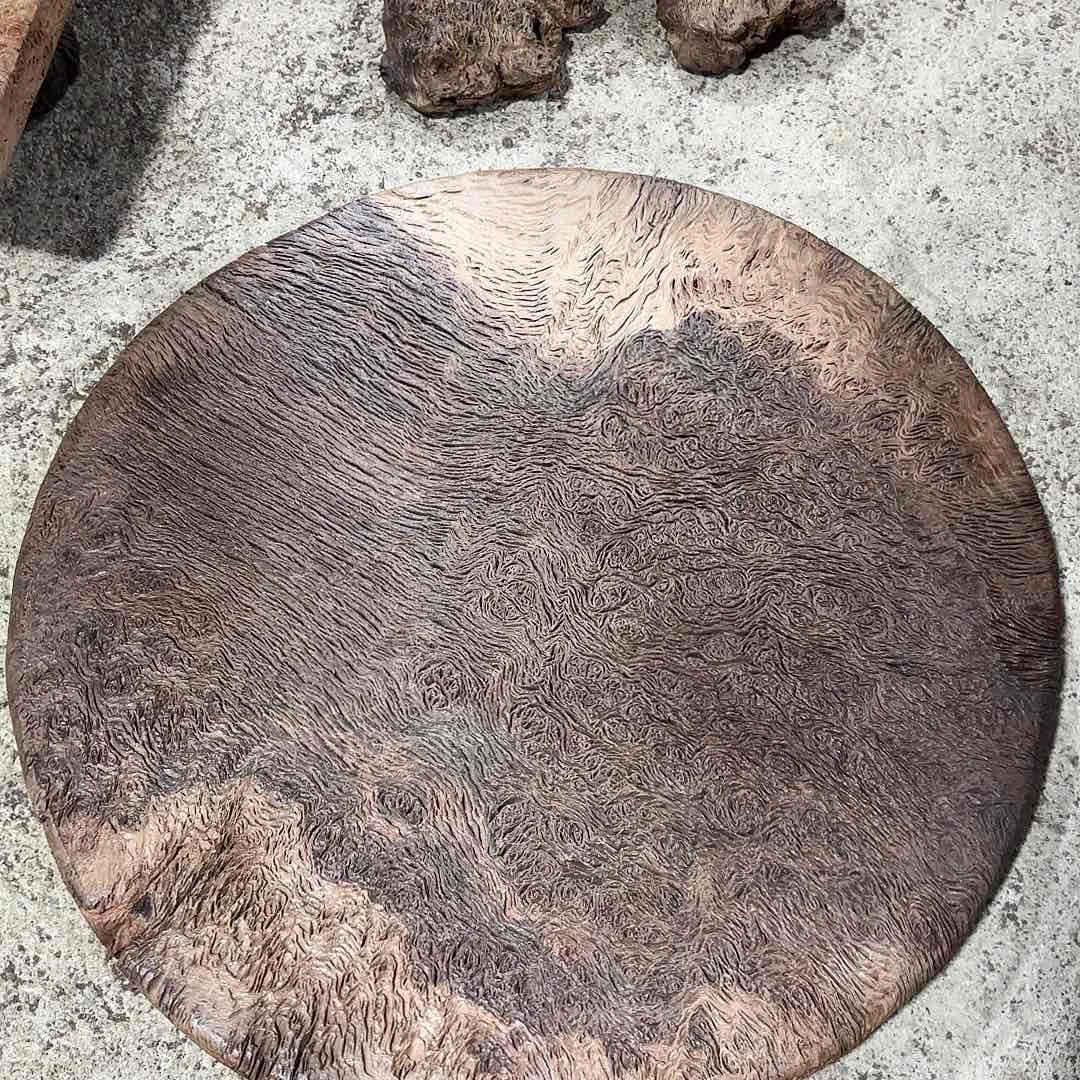 木铁栎木树瘤干泡台