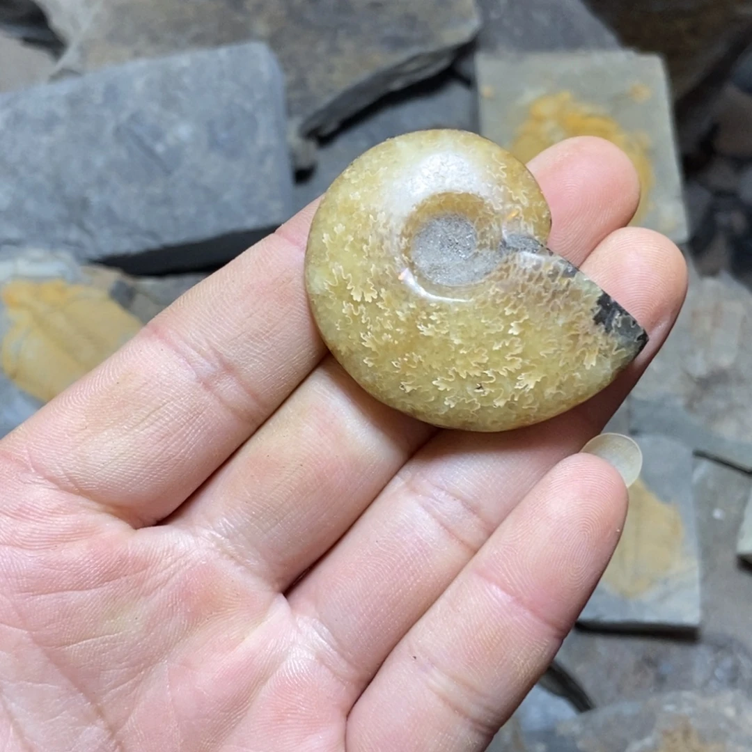 罖***亽石材1234567990000