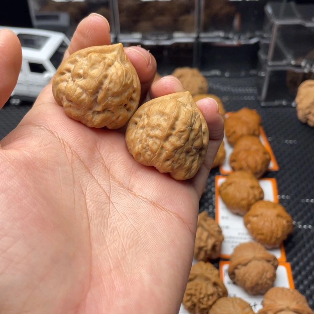 把件文玩核桃可*古蝉