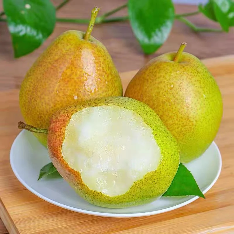 山东新头茬阳信媚梨七号皮薄清脆纯甜无渣梨4.5-5斤装