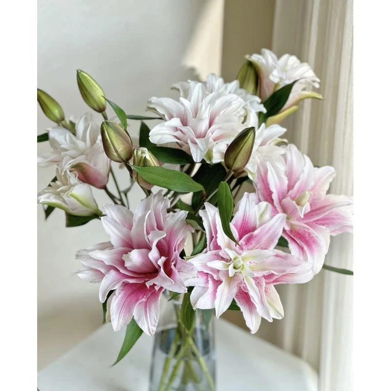 鲜花【伊莎贝拉】同地址两单以上顺丰包邮送货上门