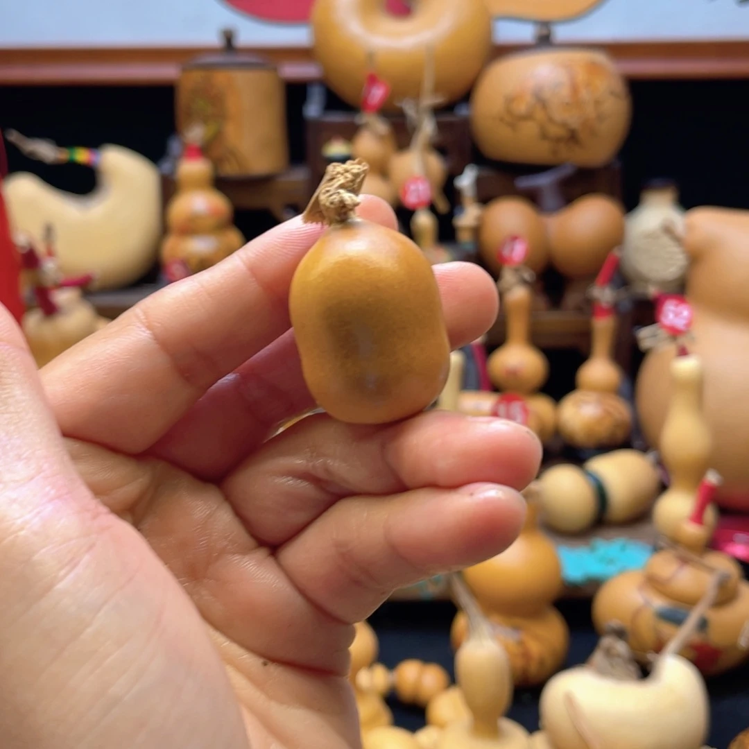 张*大自然的秘密第十一章