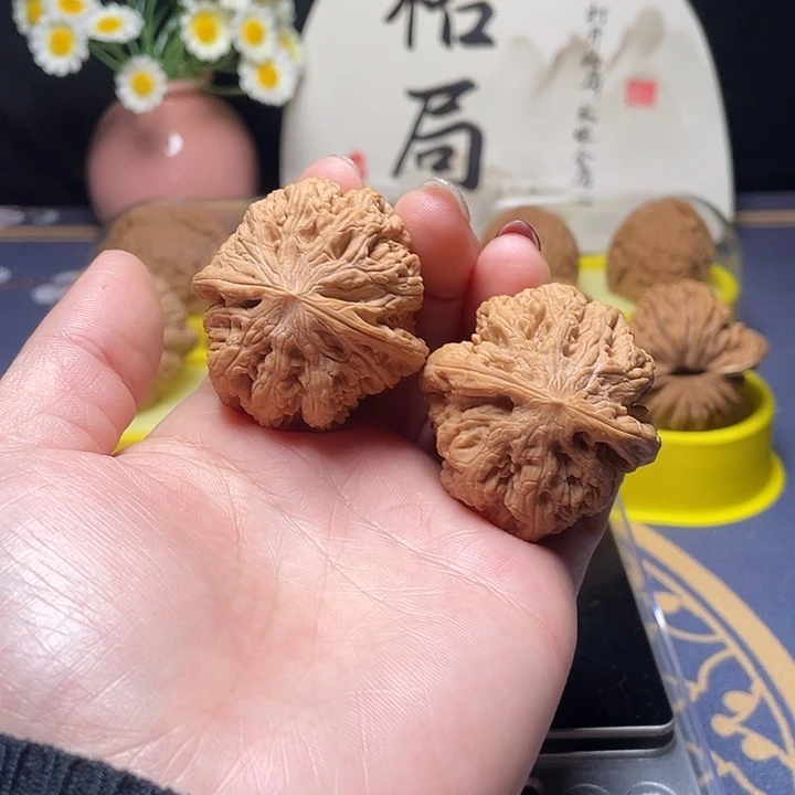 核桃41尺寸大粗筋