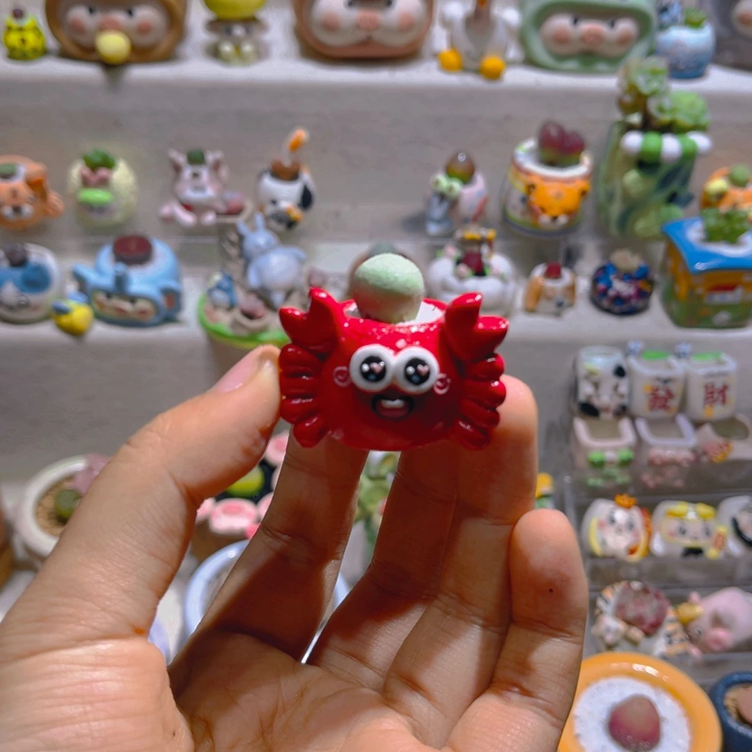 005高端多肉带盆土一套26