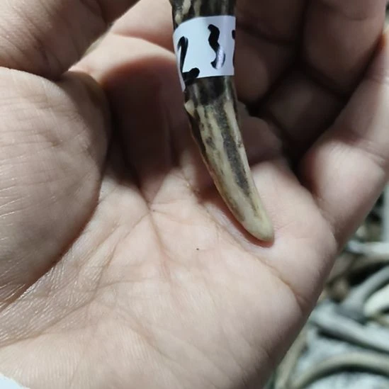 诗****陶瓷鹿角鹿角鹿角鹿角鹿角鹿角