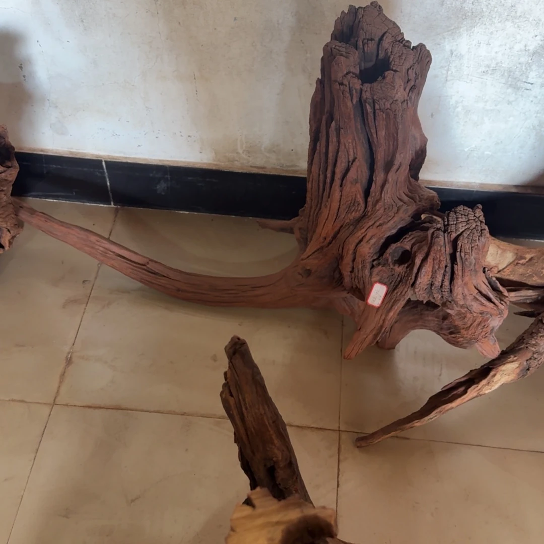 梅***人香榧木一物一拍鱼缸造景