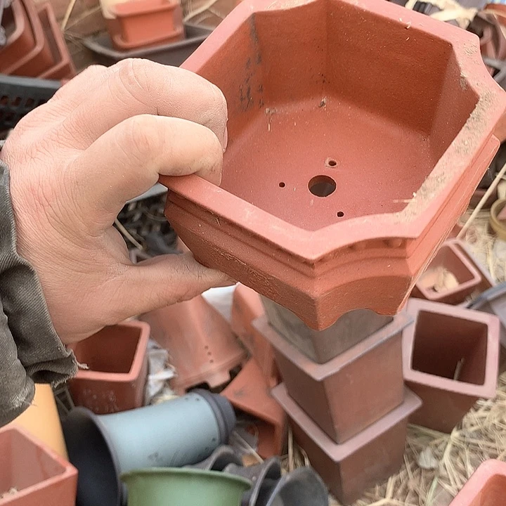 紫砂没有那么重要的人在我们