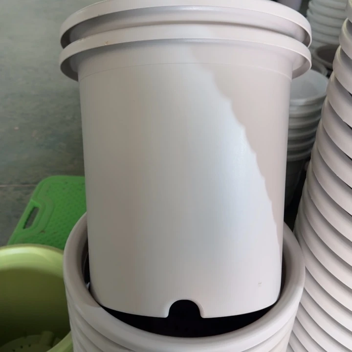 特价8号3个无托灰白