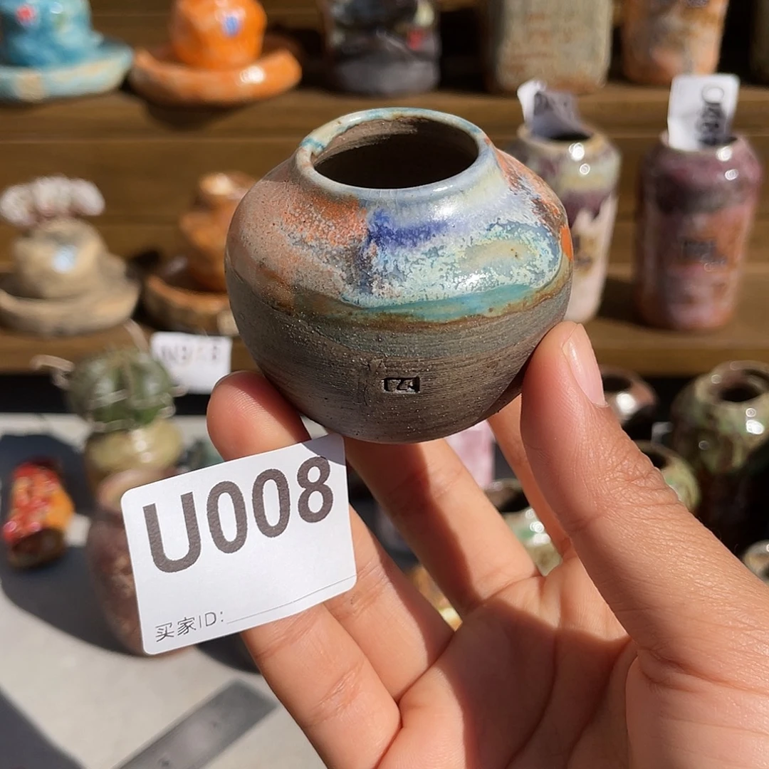 坛子姐花盆 拇指盆 内口2.5左右