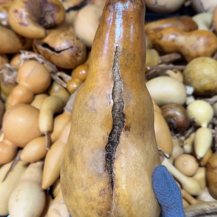 如***冰三醋酯纤维啦咯啦咯啦咯啦咯啦咯啦咯啦