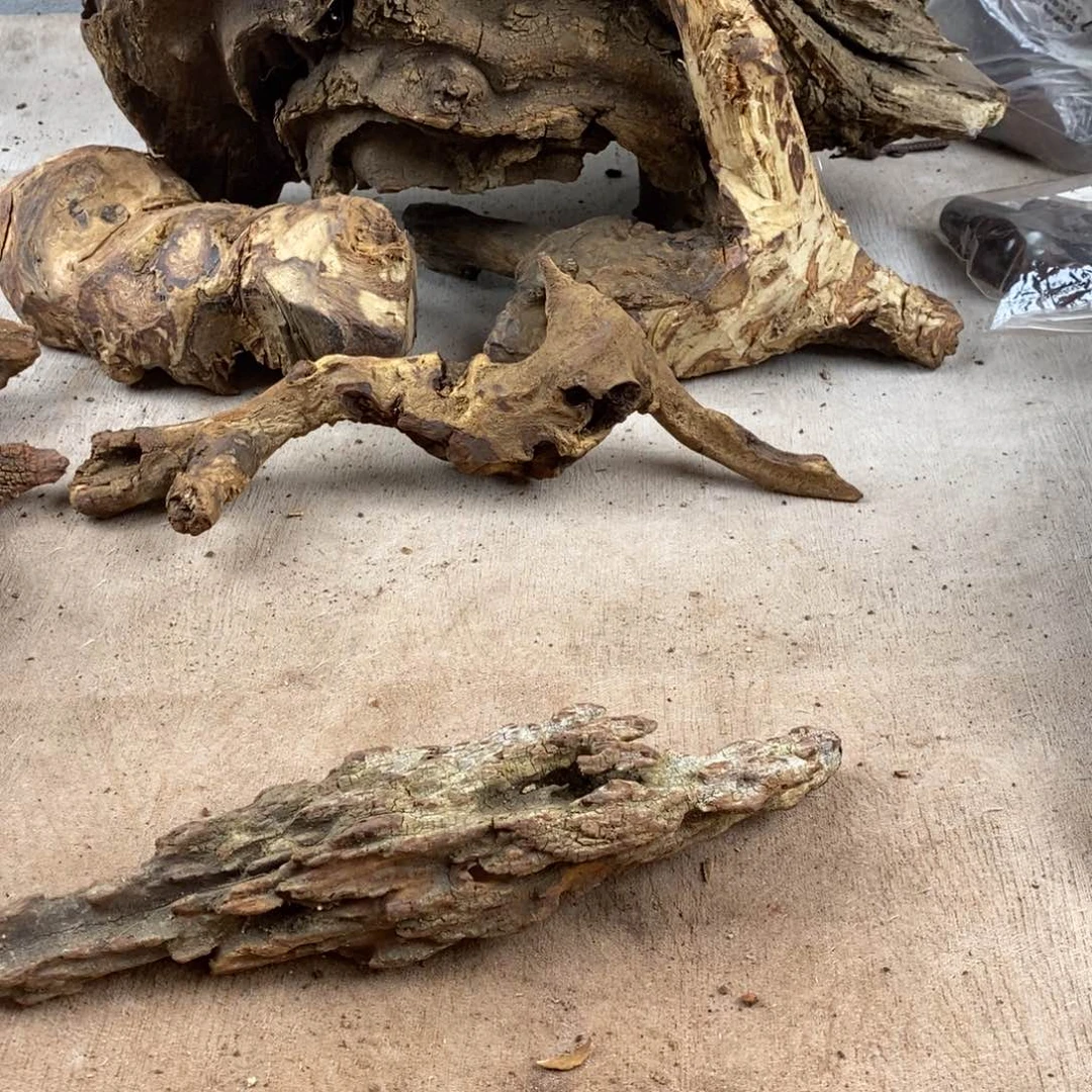 木***七黄花梨/降香黄檀降香黄檀黄花梨