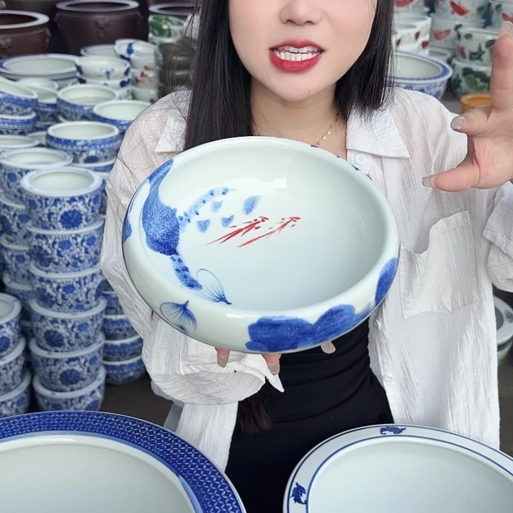 瓷片口径20厘米 高度6厘米