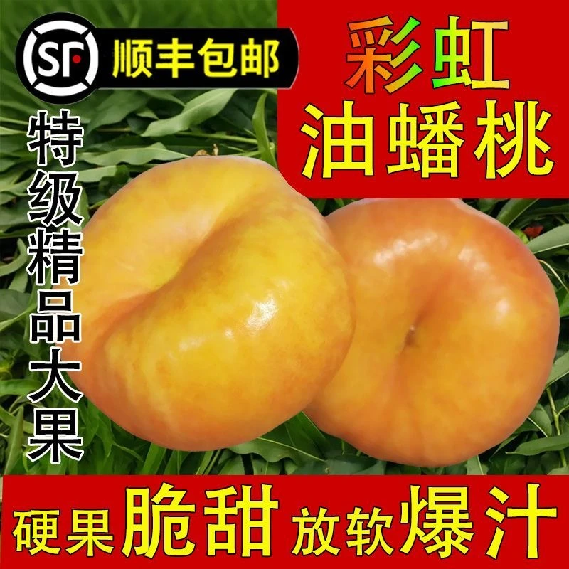蒙阴彩虹蟠桃7脆甜软糯食用多汁0防腐剂嫩爽美味现摘现发顺丰包邮