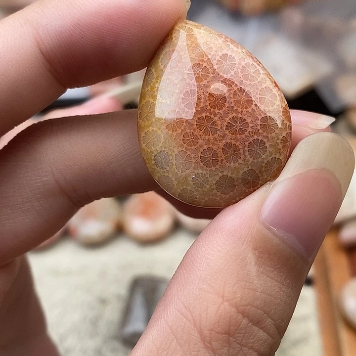 ****风硅化玉颈饰未镶嵌