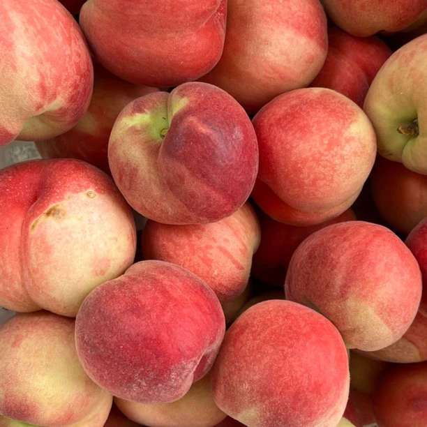 头茬露天水蜜桃新鲜现摘脆甜桃香浓郁产地直发