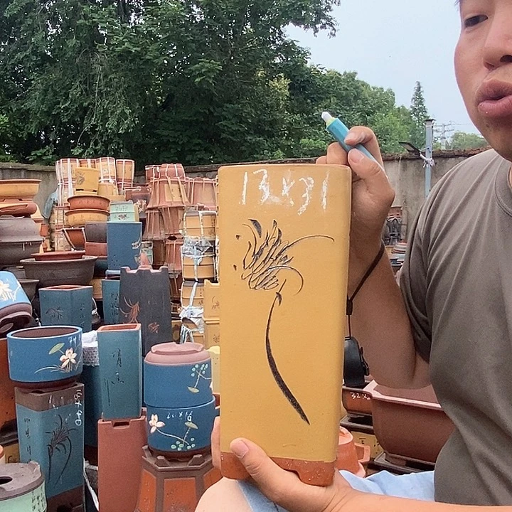 紫砂花盆盆栽观赏