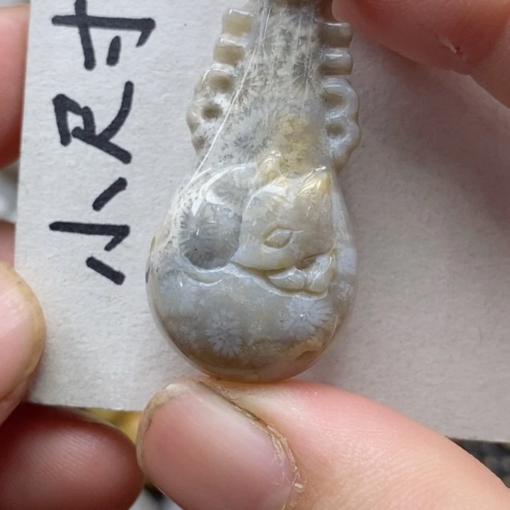 颈饰未镶嵌硅化珊瑚（珊瑚玉）