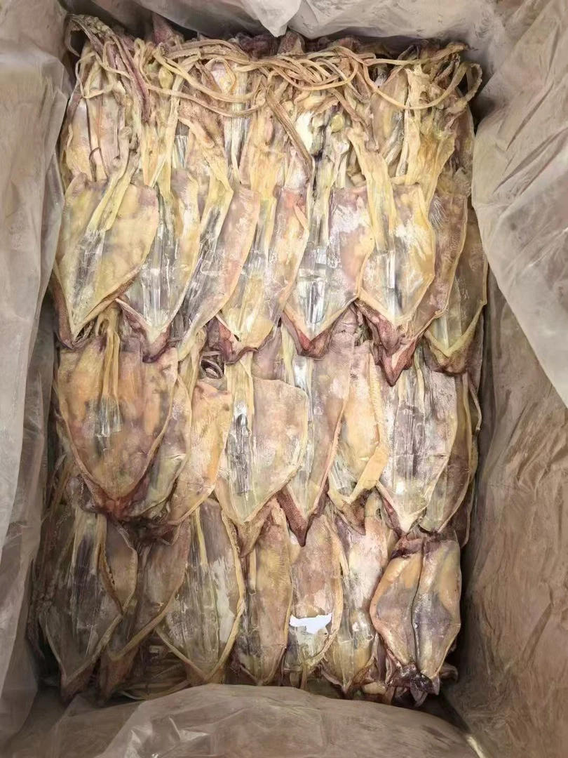 新鲜漳州开管海鲜干货