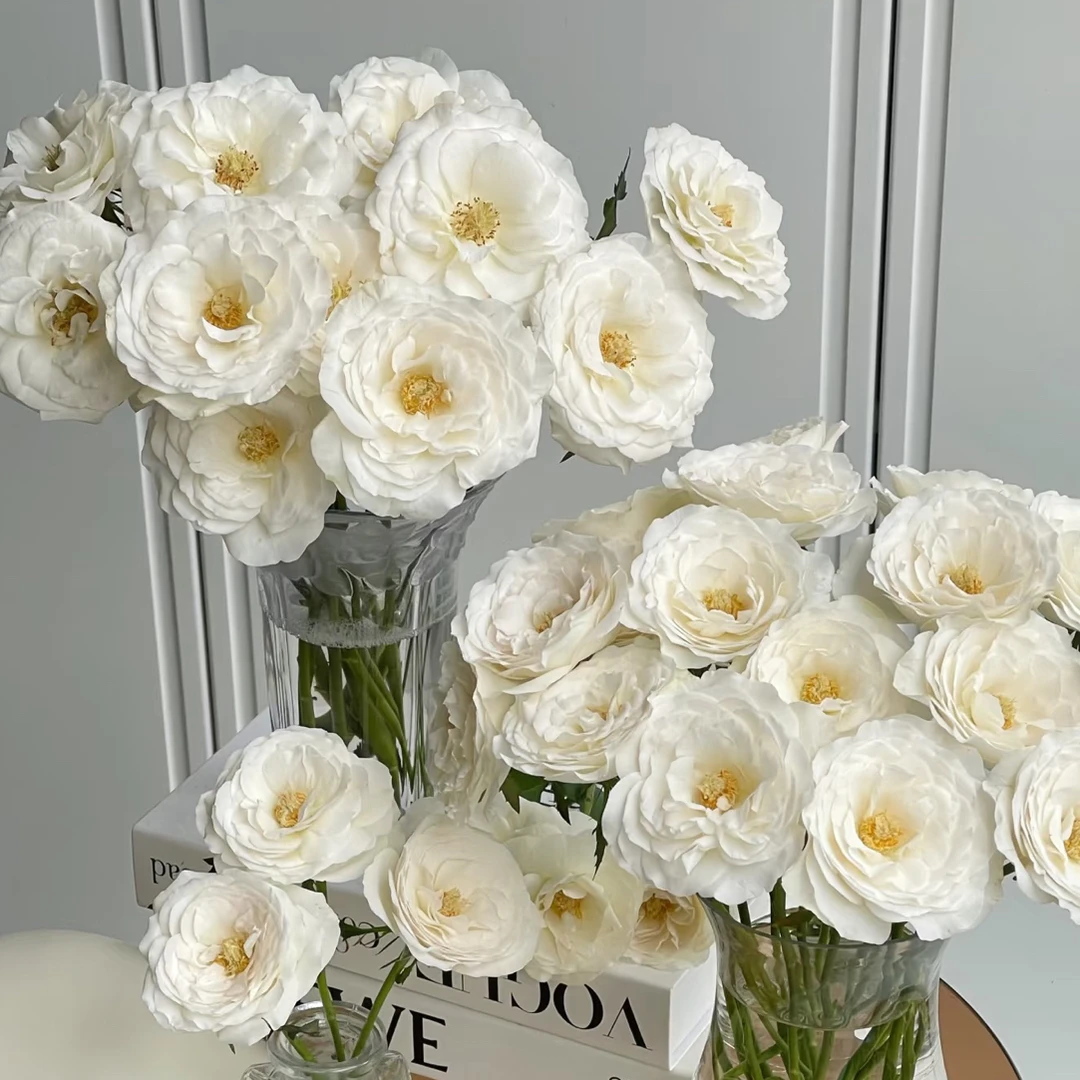 【花甜悦夏优选】香云纱多头玫瑰（百分之十不售后2个订单包邮