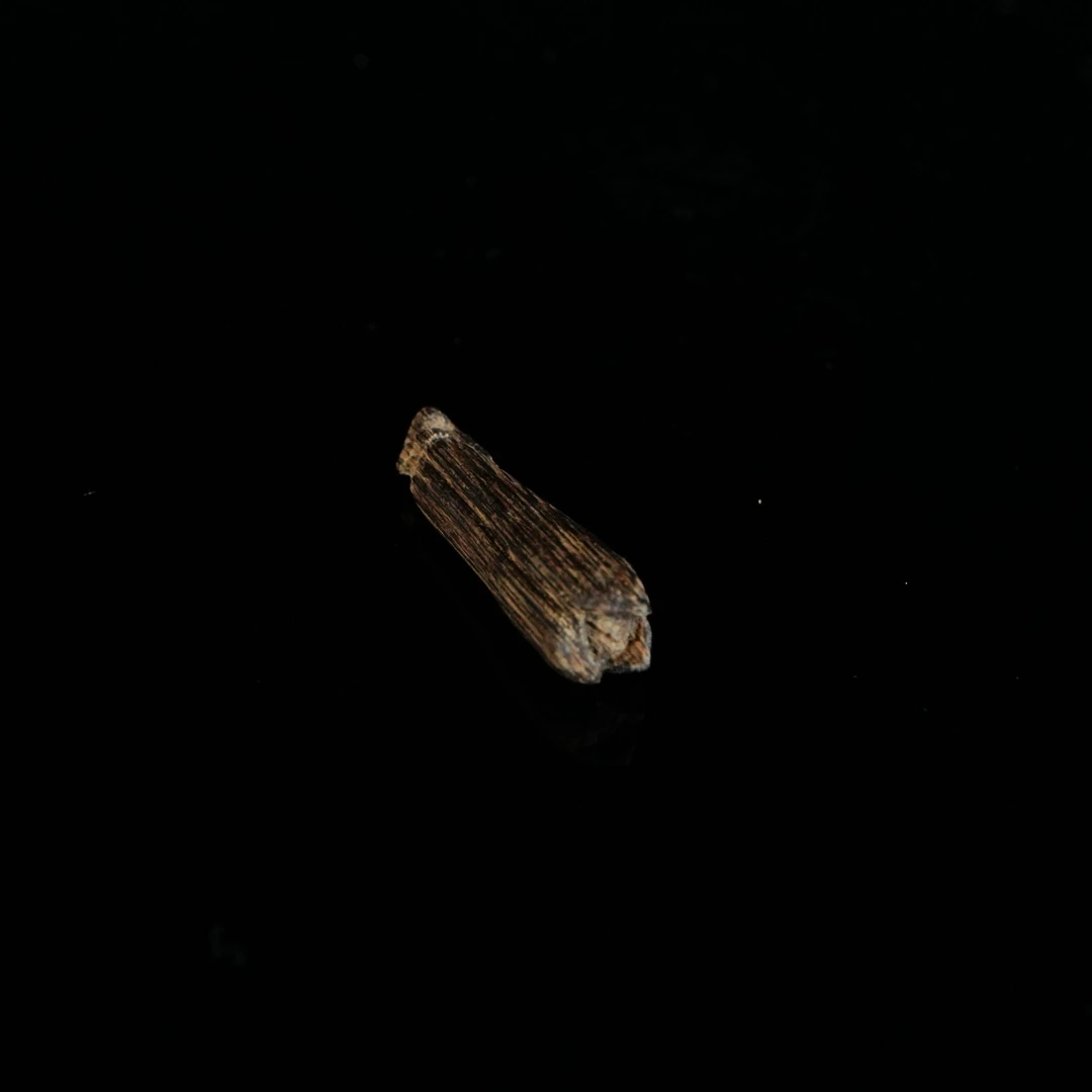 B4564 文莱软丝沉水老料沉香制品 3.48x0.78x0.83cm 1.1g