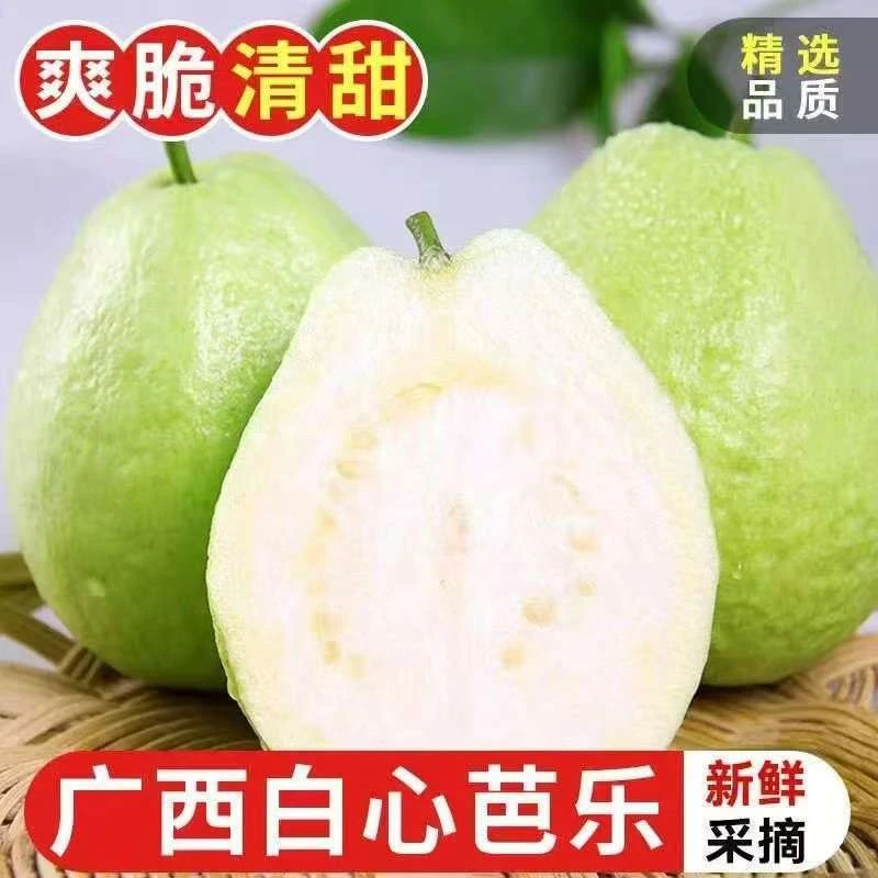 【鲜果直发】带箱三斤装广西白心番石榴当季低糖甜脆奶油芭乐