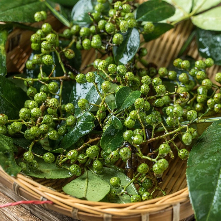 新鲜九叶青鲜花椒麻香十足