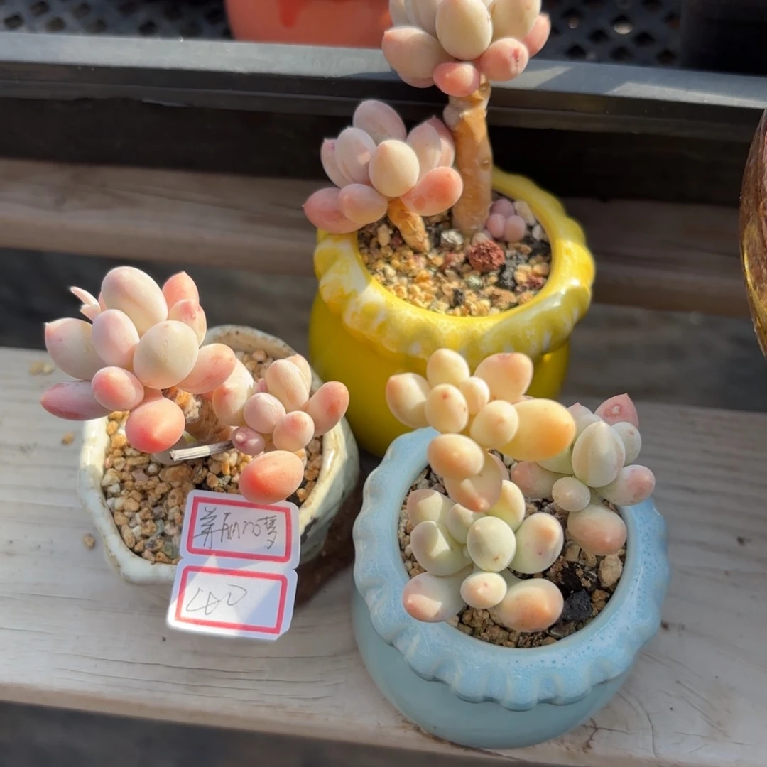 111111111111111111111