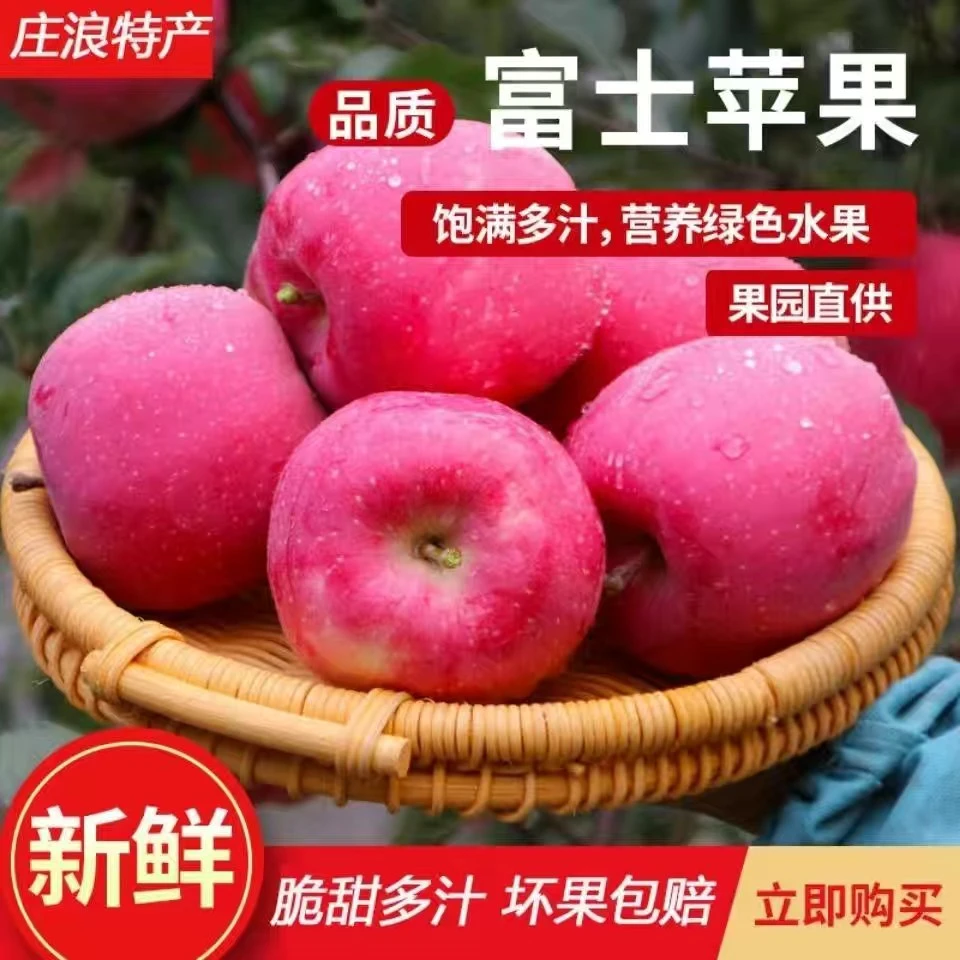 【甘肃庄浪新苹果下树啦】片红富士苹果 脆甜爽口多汁 果园现摘现发
