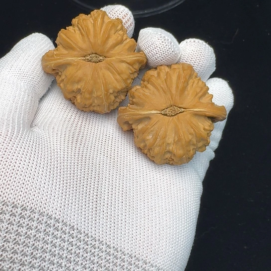 起***号文玩核桃吊坠白狮子