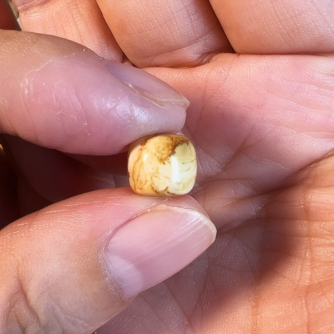 琥珀未镶嵌裸石琥珀蜜蜡沁色瓷白花蜡老型单珠9.1mm