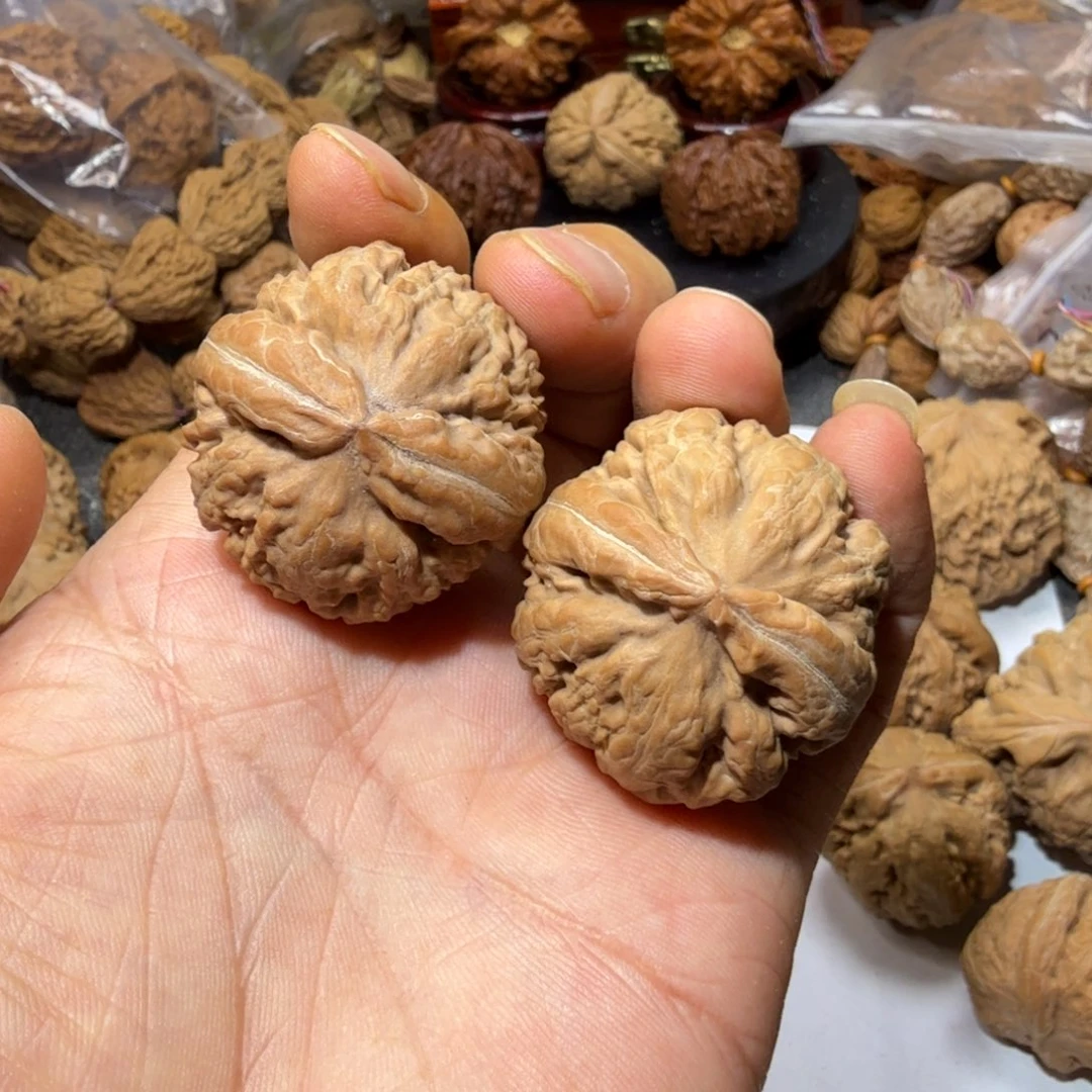 文玩核桃把件霸王龙36