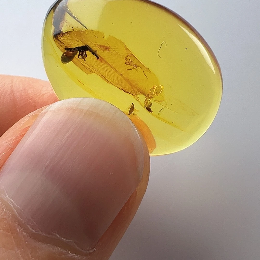 琥珀裸石未镶嵌用****7