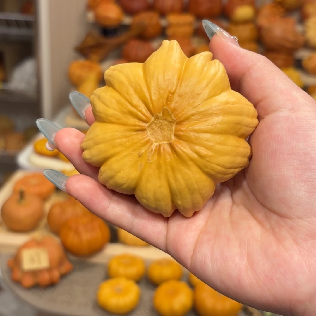 墨西哥葫芦双色花