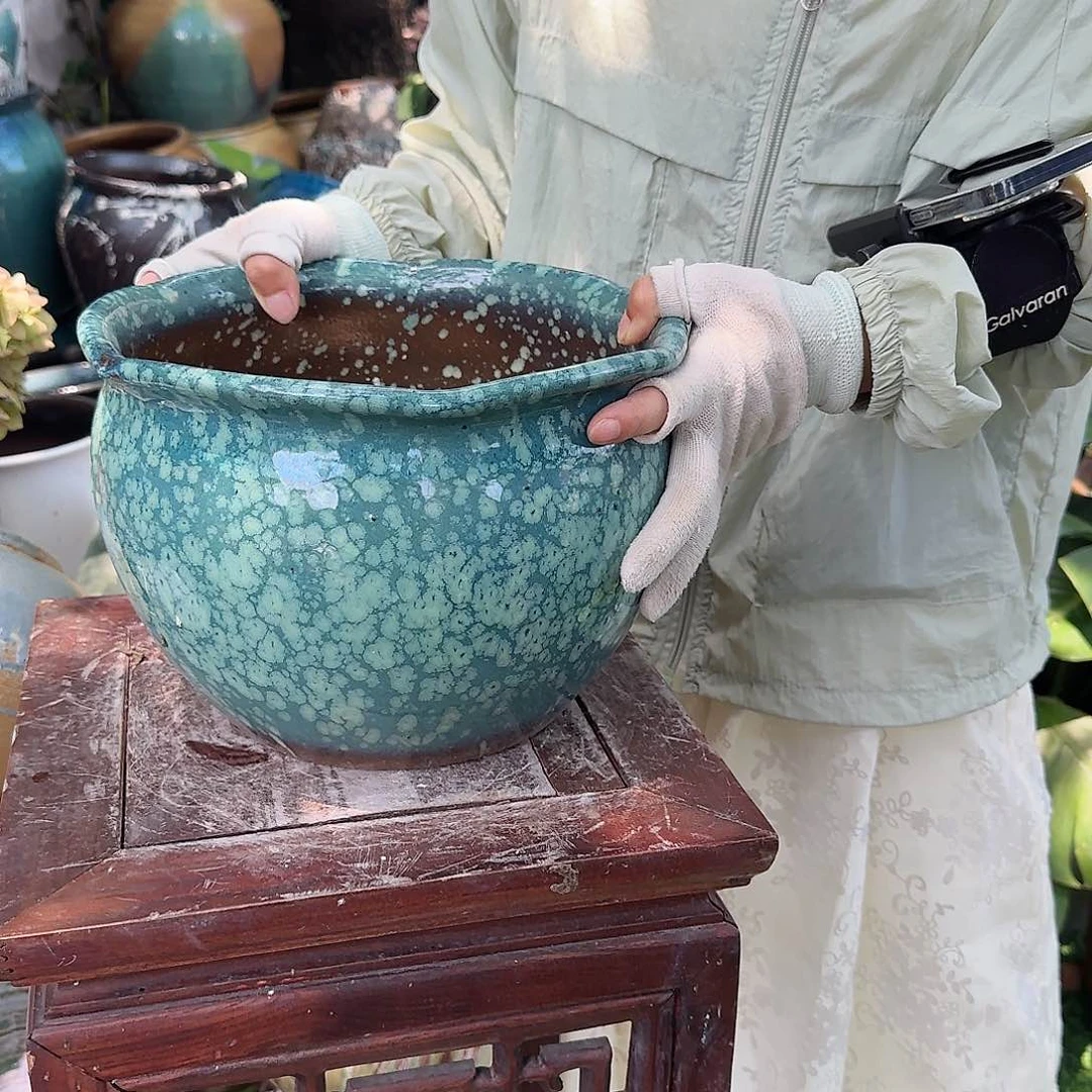 紫砂花盆王嫂花盆直播0618-572高18口26