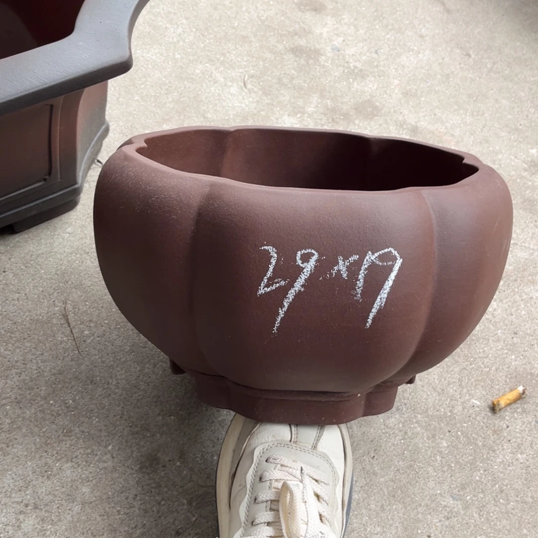 紫砂花盆盆景艺术