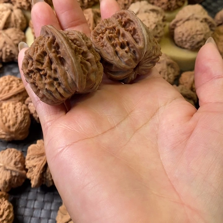 志四座楼四座楼四座楼