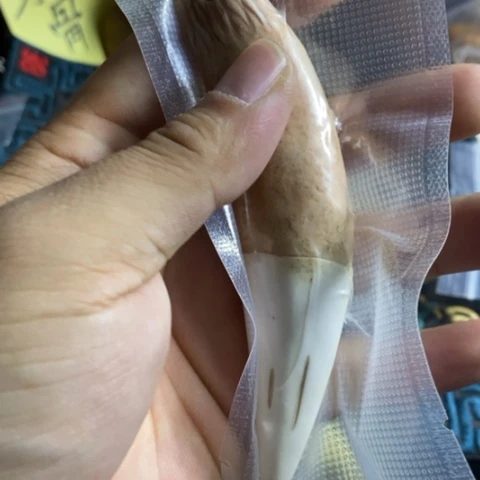 陶官方链接放心拍