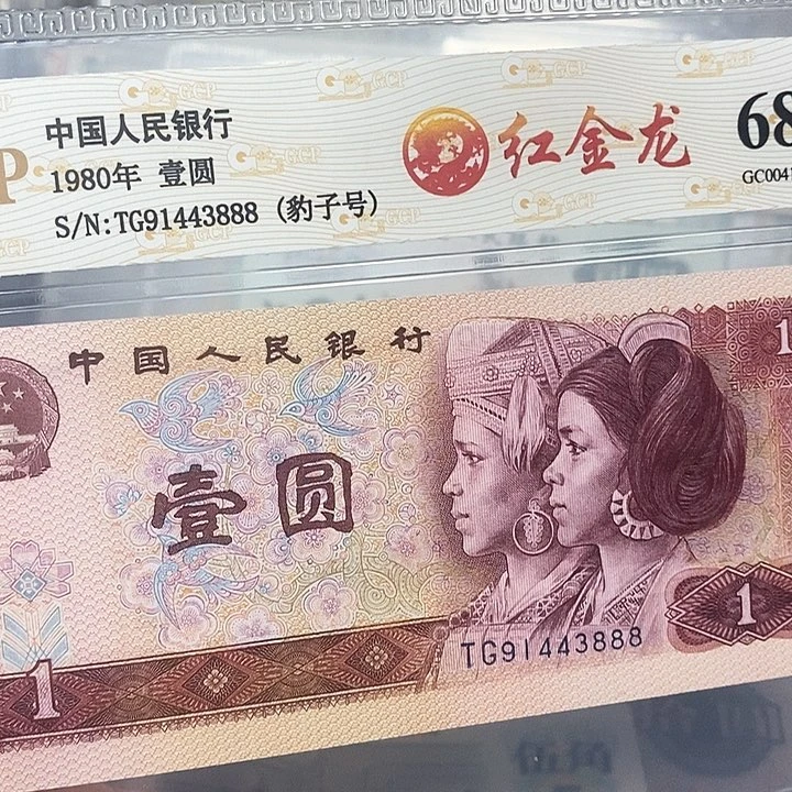 红金龙91443888，，，，，，，