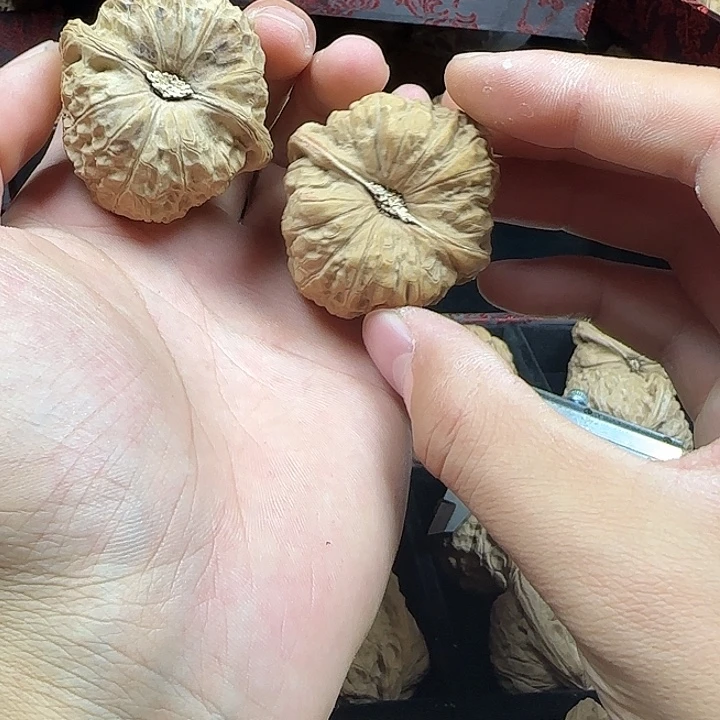 呵***忒龙脊菩提吊坠啊啊啊啊啊南瓜1